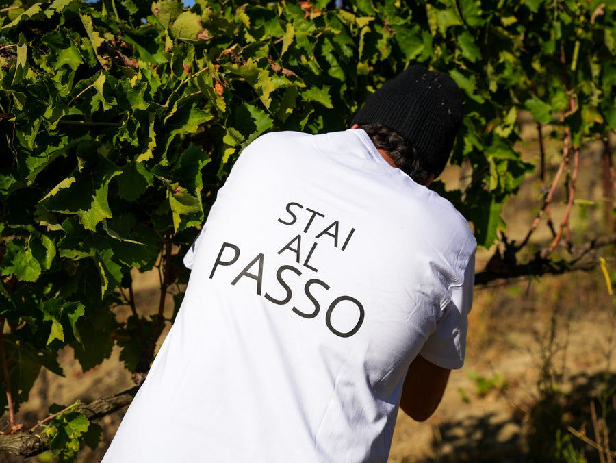 Un vendemmiatore di spalle con la maglietta Stai al Passo